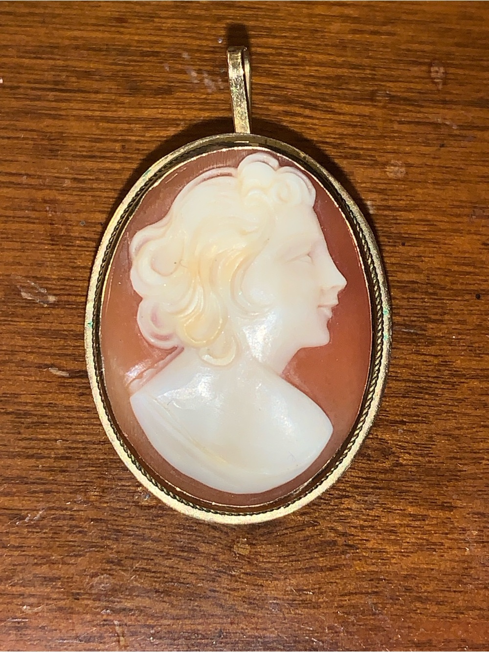 Vintage Cameo Pendant / Brooch . Purchased in Spain 60 years ago.